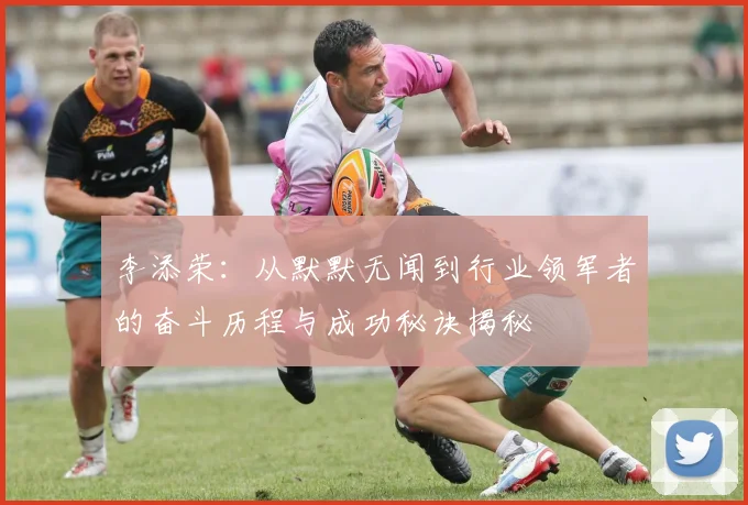 李添荣：从默默无闻到行业领军者的奋斗历程与成功秘诀揭秘