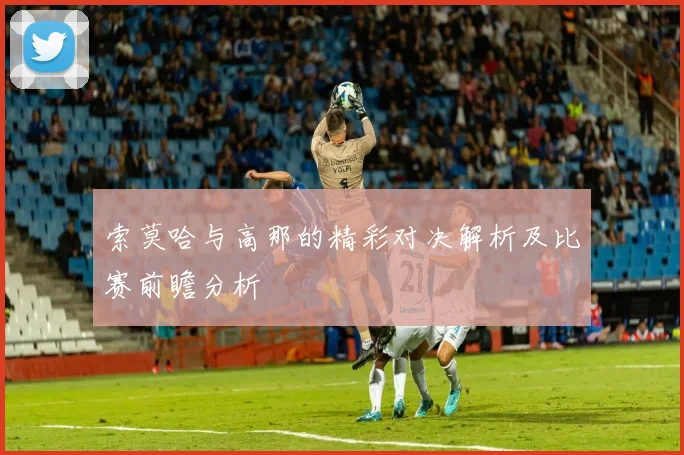 索莫哈与高那的精彩对决解析及比赛前瞻分析