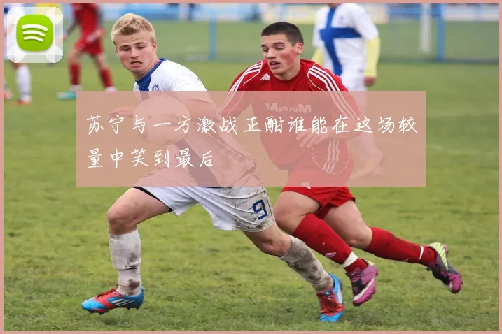 苏宁与一方激战正酣谁能在这场较量中笑到最后