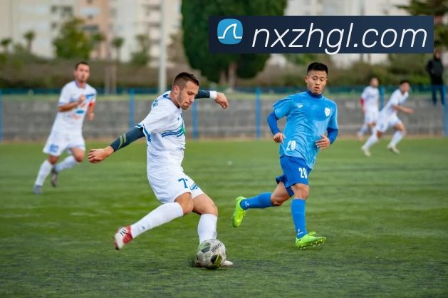 ky开元 平台生态图